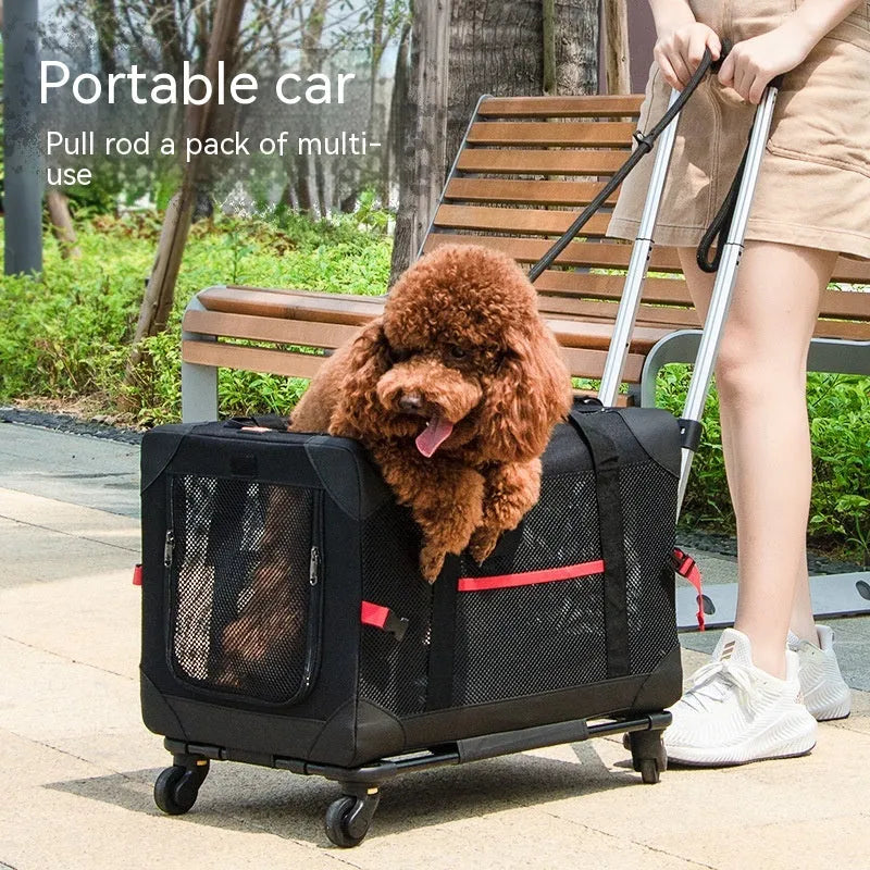 Portable Car Pet Trolley Bag For Going Out - Bellarte Enchanté Portable Car Pet Trolley Bag For Going Out