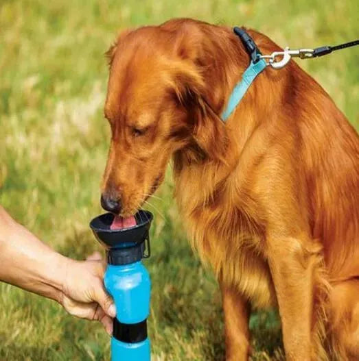 Portable Water Bottle Drinker For Pet Dogs - Bellarte Enchanté Portable Water Bottle Drinker For Pet Dogs