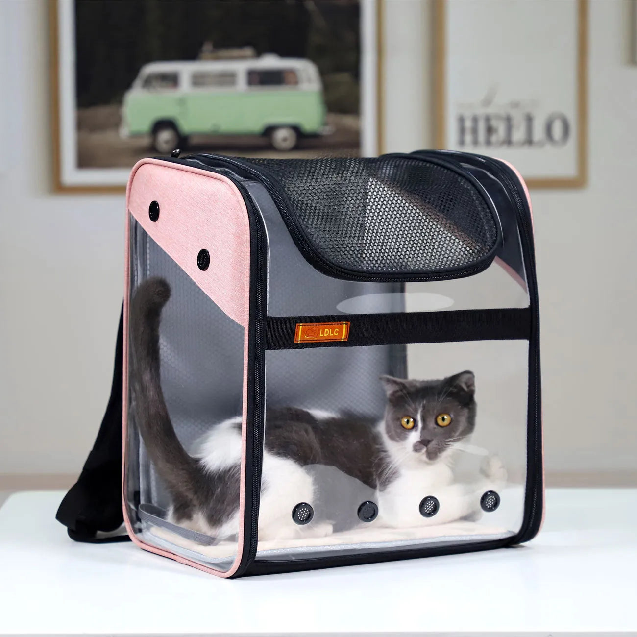 PVC Breathable Large Capacity Cat Carrying Space Capsule Cat Bag Portable Pet Dog Backpack Fold - Bellarte Enchanté PVC Breathable Large Capacity Cat Carrying Space Capsule Cat Bag Portable Pet Dog Backpack Fold