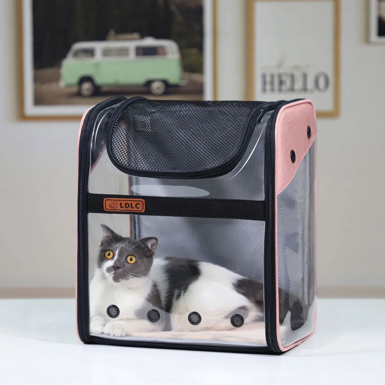 PVC Breathable Large Capacity Cat Carrying Space Capsule Cat Bag Portable Pet Dog Backpack Fold - Bellarte Enchanté PVC Breathable Large Capacity Cat Carrying Space Capsule Cat Bag Portable Pet Dog Backpack Fold