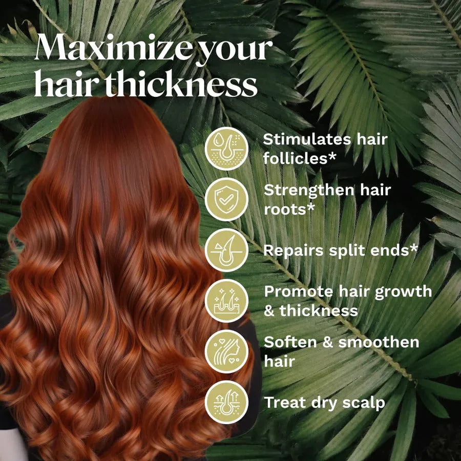 Rosemary Promote Hair Growth Strong Care Essential Oil - Bellarte Enchanté Rosemary Promote Hair Growth Strong Care Essential Oil