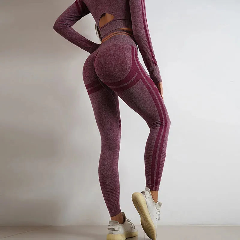 Seamless Yoga Pants Sports Gym Fitness - Bellarte Enchanté Seamless Yoga Pants Sports Gym Fitness