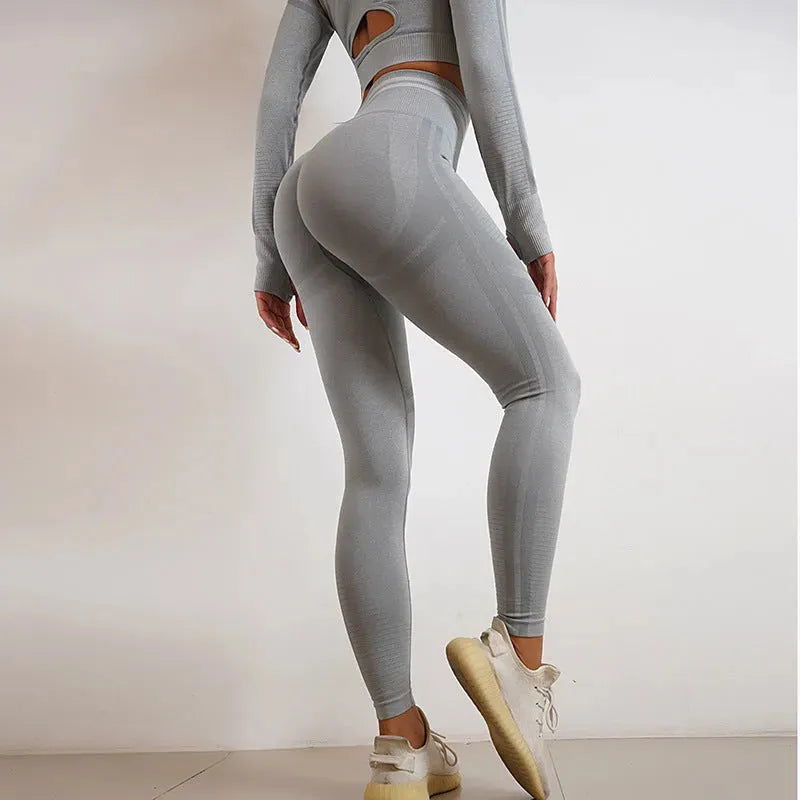 Seamless Yoga Pants Sports Gym Fitness - Bellarte Enchanté Seamless Yoga Pants Sports Gym Fitness