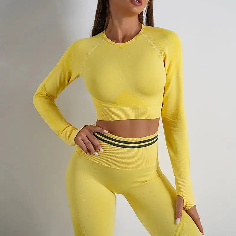Seamless Yoga Pants Sports Gym Fitness - Bellarte Enchanté Seamless Yoga Pants Sports Gym Fitness