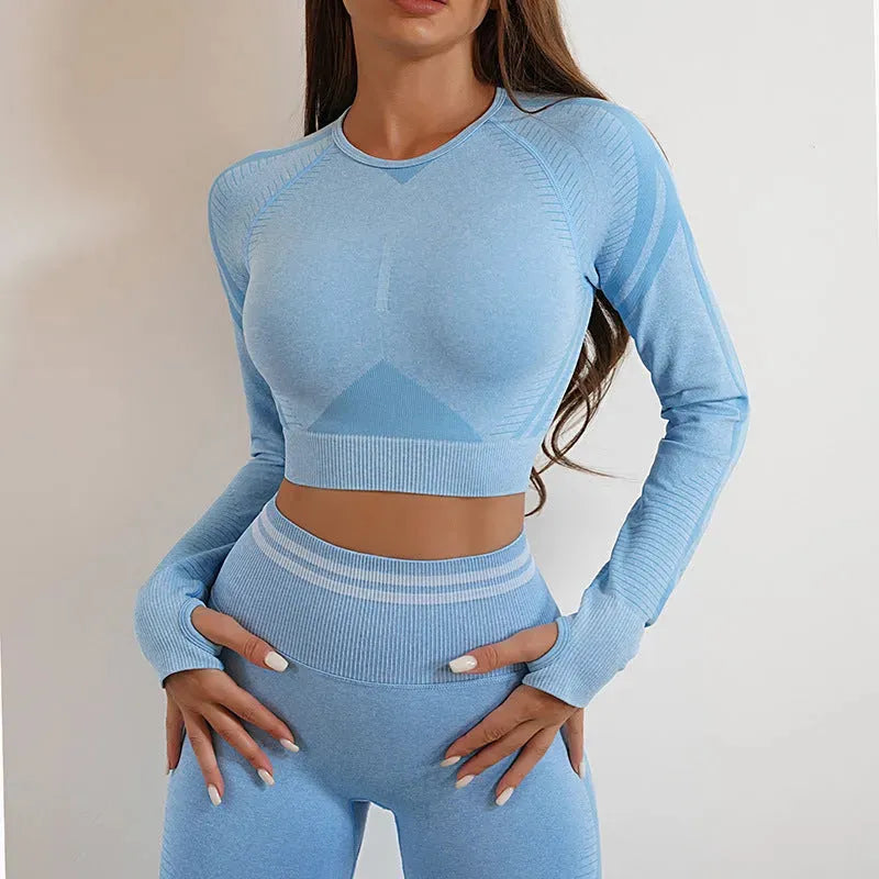 Seamless Yoga Pants Sports Gym Fitness - Bellarte Enchanté Seamless Yoga Pants Sports Gym Fitness