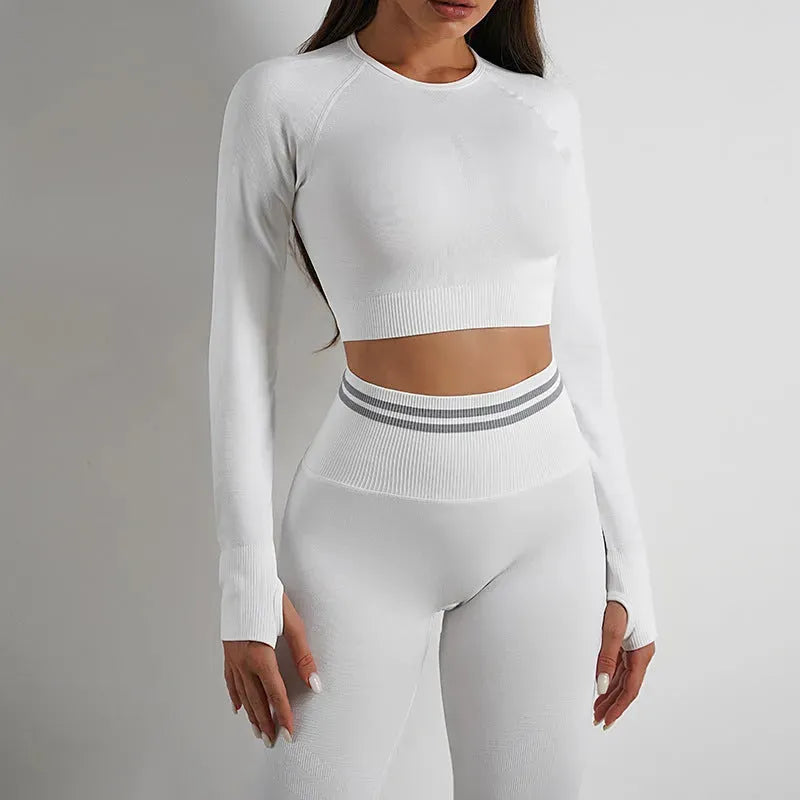 Seamless Yoga Pants Sports Gym Fitness - Bellarte Enchanté Seamless Yoga Pants Sports Gym Fitness