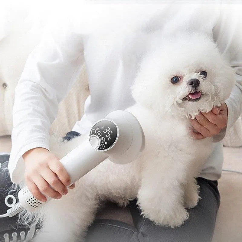 Smart Pet Hair Dryer Dog Golden Retriever Cat Grooming Hairdressing Blow & Comb Silent No Harm Pet Cleaning Supplies Pet Products - Bellarte Enchanté Smart Pet Hair Dryer Dog Golden Retriever Cat Grooming Hairdressing Blow & Comb Silent No Harm Pet Cleaning Supplies Pet Products