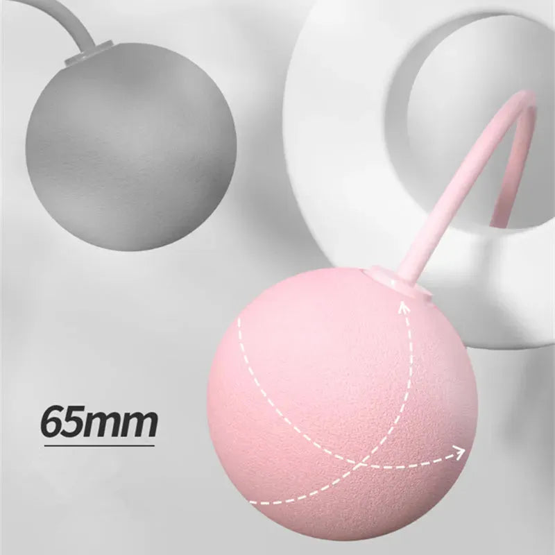 Training Jump Rope Set Fitness Jump Ropes And Silicone Handles For Women Men Kids With Speed Cordless Ball Adjustable Anti-Tangle PVC Wire Rope For Fitness Crossfit Indoor Outdoor Workout - Bellarte Enchanté Training Jump Rope Set Fitness Jump Ropes And Silicone Handles For Women Men Kids With Speed Cordless Ball Adjustable Anti-Tangle PVC Wire Rope For Fitness Crossfit Indoor Outdoor Workout